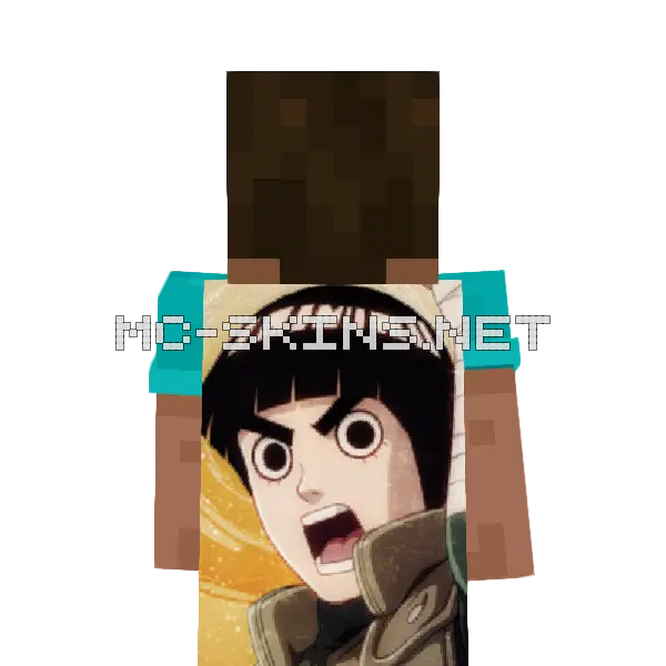 Rock Lee cape, outside and lining