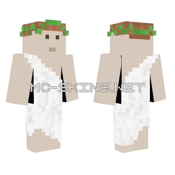 Roman Official Minecraft skin, front and back
