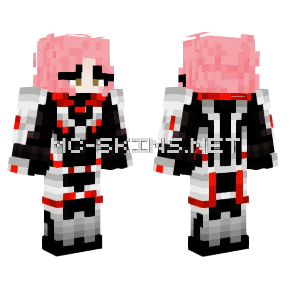 Romyzg Traje Cuantico Minecraft skin, front and back