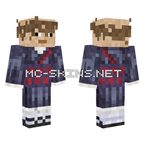 Sage 5 Minecraft skin, front and back