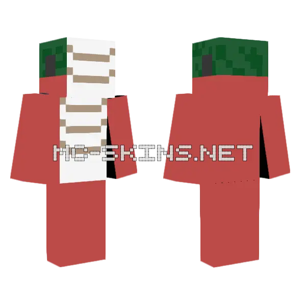 Salmon Skin Minecraft skin, front and back
