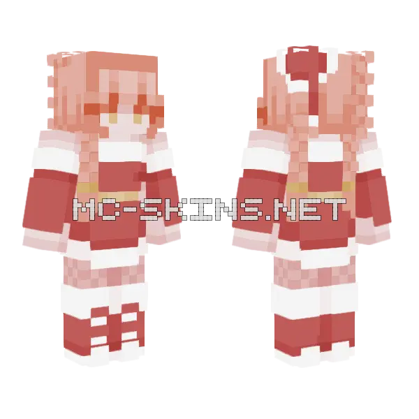 Santa Hat 8 Minecraft skin, front and back