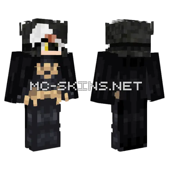 Sapphire Batgirl Minecraft skin, front and back