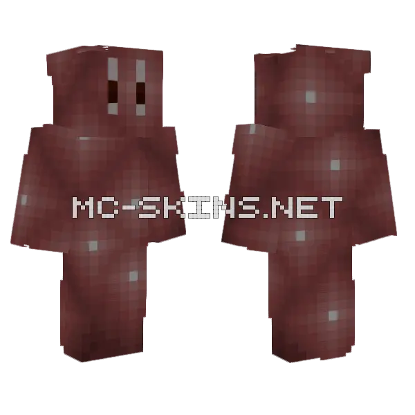 Save Edit Minecraft skin, front and back