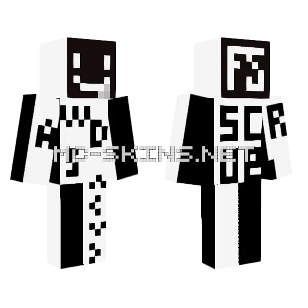 Scrubbish Robot Minecraft skin, front and back