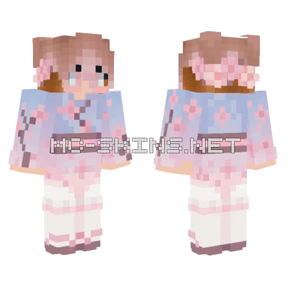 Sebas Celebracin Paiola Minecraft skin, front and back