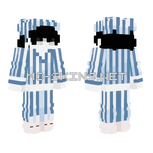 Sfdsf Skin Minecraft skin, front and back