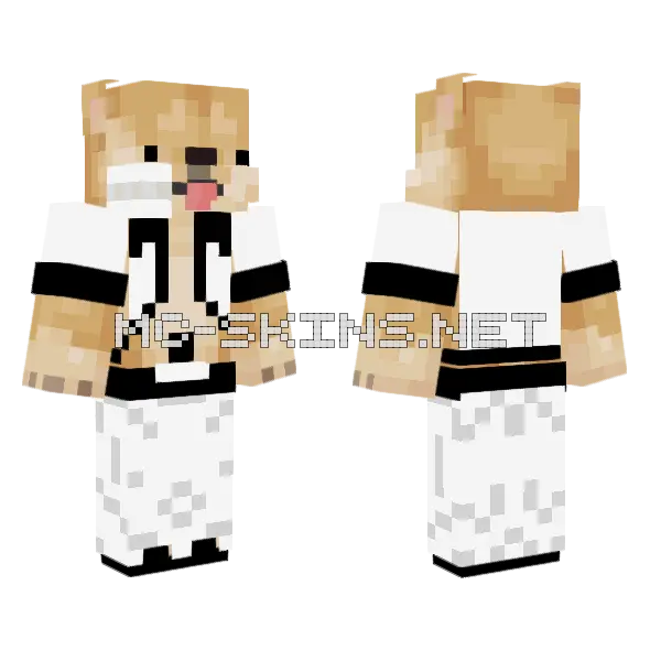 Shiba Inu Dog, front and back