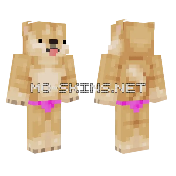 Shiba Inu Pet, front and back