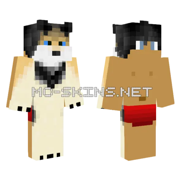 Shiba Inu Pup, front and back