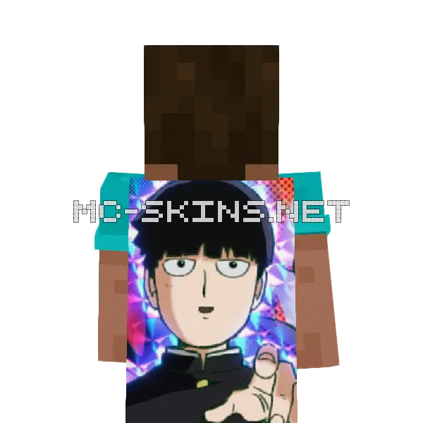 Shigeo Kageyama cape, outside and lining