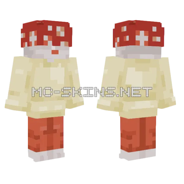 Shiitaky Minecraft skin, front and back