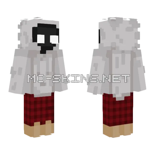 Shim Minecraft skin, front and back