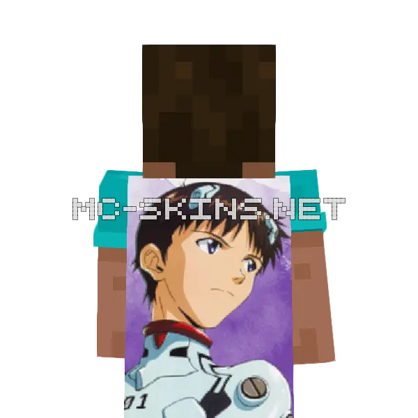Shinji Ikari cape, outside and lining