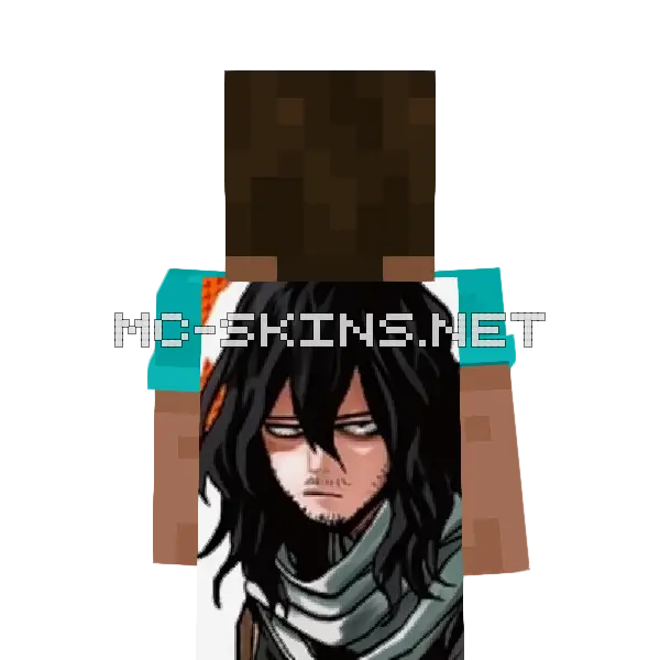 Shouta Aizawa cape, outside and lining