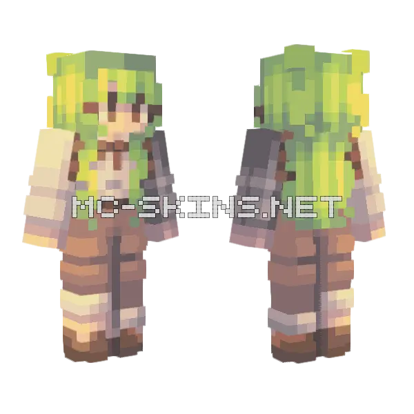 Shrek v4 Minecraft skin, front and back