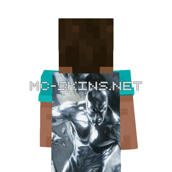 Silver Surfer cape, outside and lining