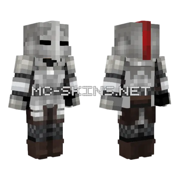 Silver Warrior Minecraft skin, front and back