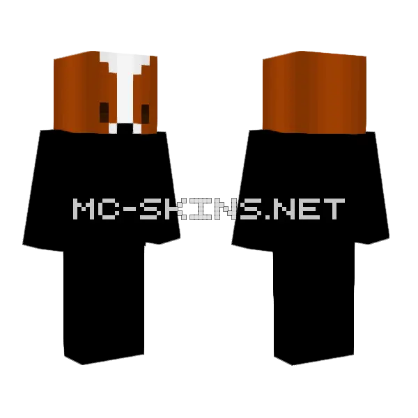 Simba Head Base Minecraft skin, front and back