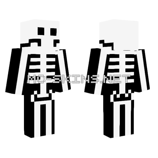 Skeleton Minecraft skin, front and back