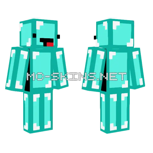 Skeppy Minecraft skin, front and back
