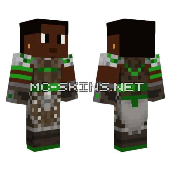 Skin Dragons Minecraft skin, front and back