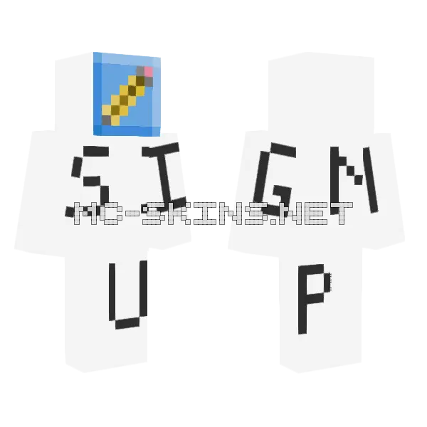 Skindex Academy Info Minecraft skin, front and back