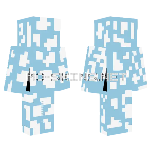 Sky Dude, front and back