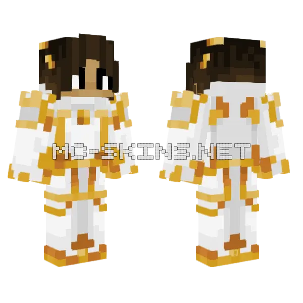 Sky Fighter Boy Minecraft skin, front and back