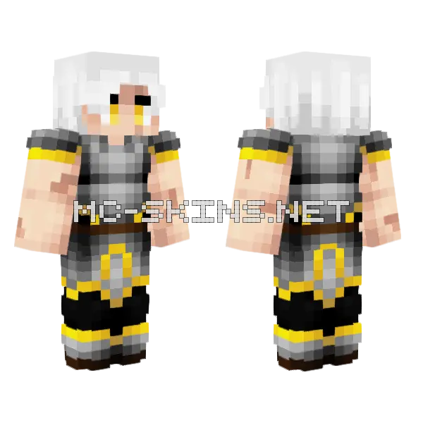 Sky Kingdom Knight Minecraft skin, front and back