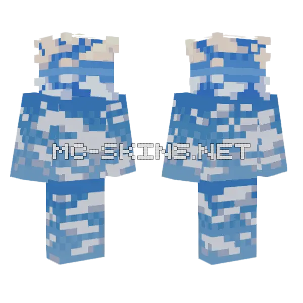 Skybox Skin Minecraft skin, front and back