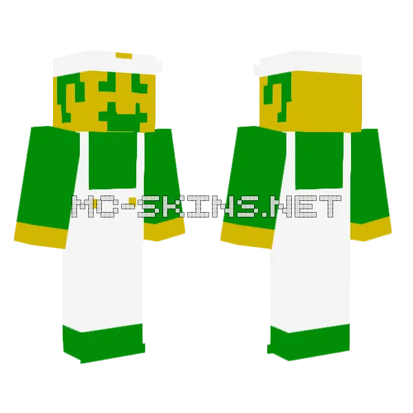 SMB1 Luigi Minecraft skin, front and back
