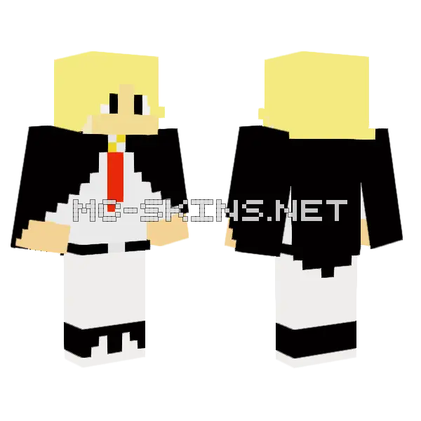 Smp Advokat Minecraft skin, front and back
