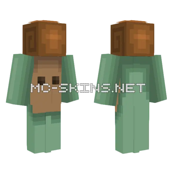 Snail Official Minecraft skin, front and back