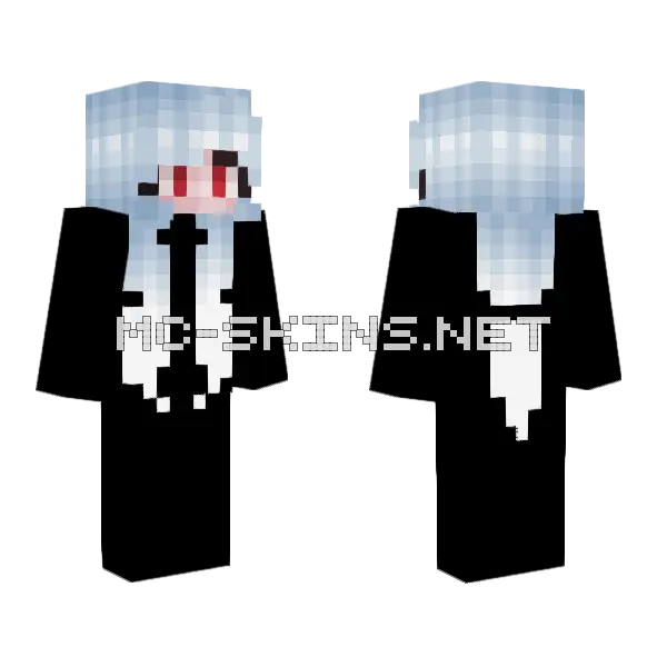 Snow S End Minecraft skin, front and back