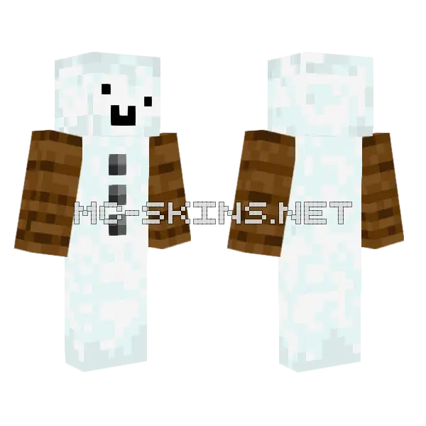 Snowman With Buttons Minecraft skin, front and back