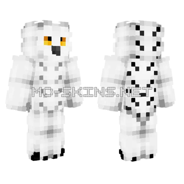 Snowy Owl Minecraft skin, front and back