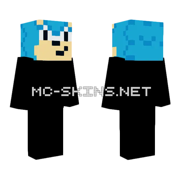 Sonic Head Minecraft skin, front and back