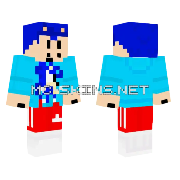 Sonic The Hedgehog Avatar Minecraft skin, front and back