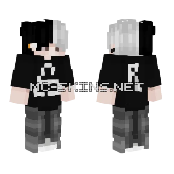 Soporte Alterno Minecraft skin, front and back