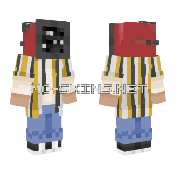 Soren Sfa 1 Minecraft skin, front and back