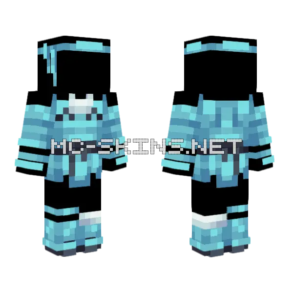 Space Cat Minecraft skin, front and back