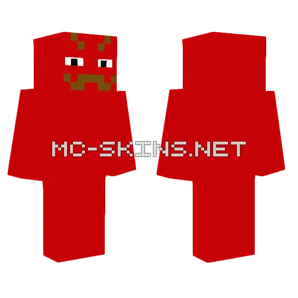 Spacey Damian Minecraft skin, front and back