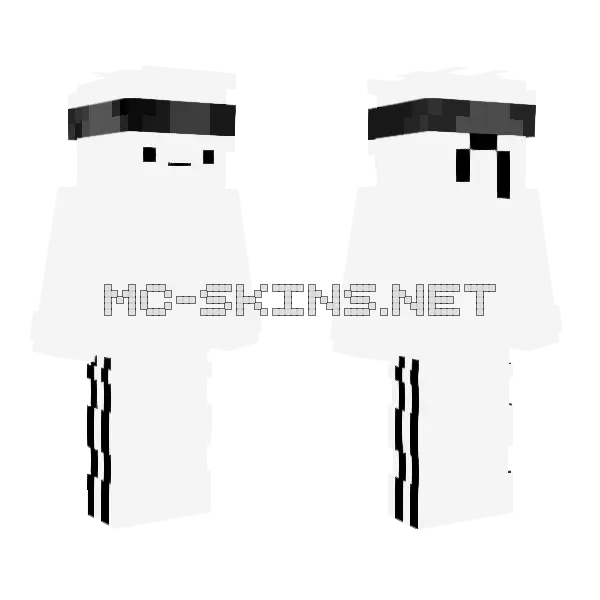 Speed Runner Minecraft skin, front and back