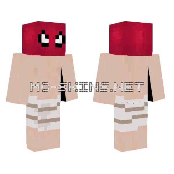 Spider-Man Brand New Day Minecraft skin, front and back