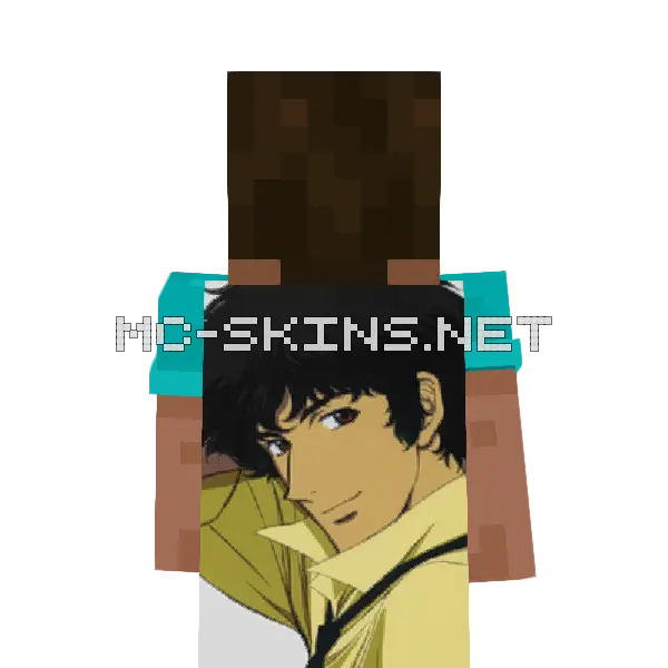 Spike Spiegel cape, outside and lining