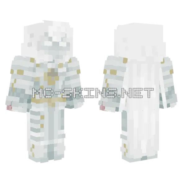 Spirit of Khonshu Minecraft skin, front and back