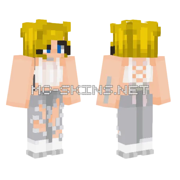 Sra Briefs Def Minecraft skin, front and back