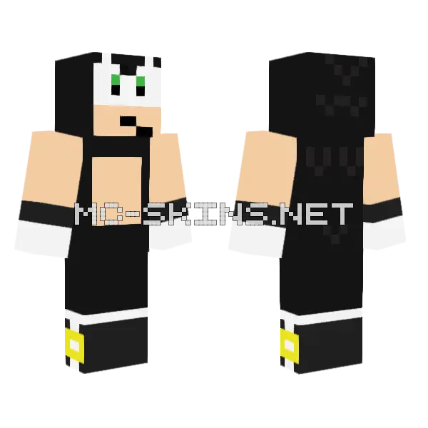 SSBU Sonic Alt 5 Minecraft skin, front and back