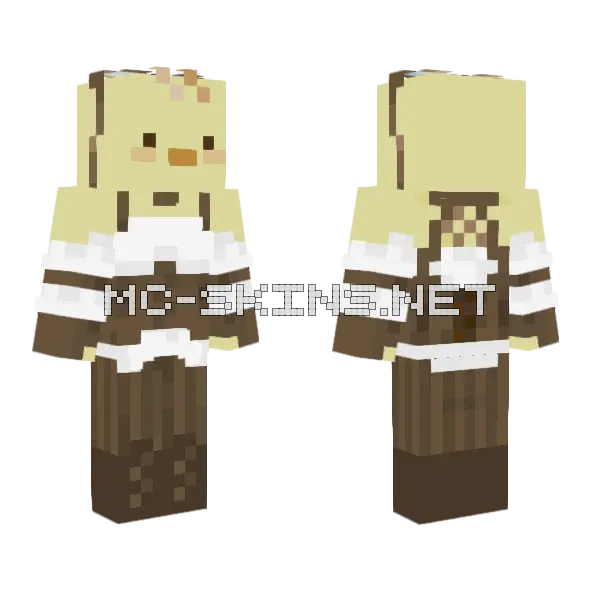 Steampunk Duck Minecraft skin, front and back
